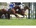  Carrera: P.Andrés Covarrubias Monta: V.Janacek Caballo: Tacarib Bay